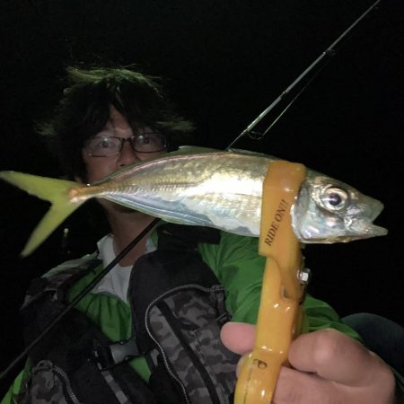 A.P.Pフィッシングガイドサービス　NF…